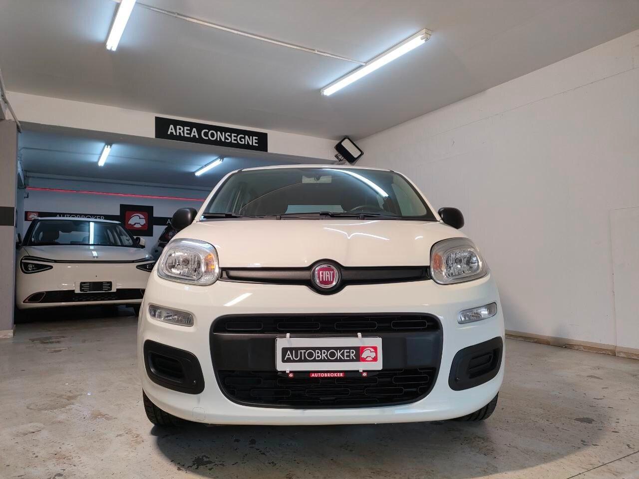 FIAT Panda 3ª serie Panda 1.0 FireFly S&S Hybrid