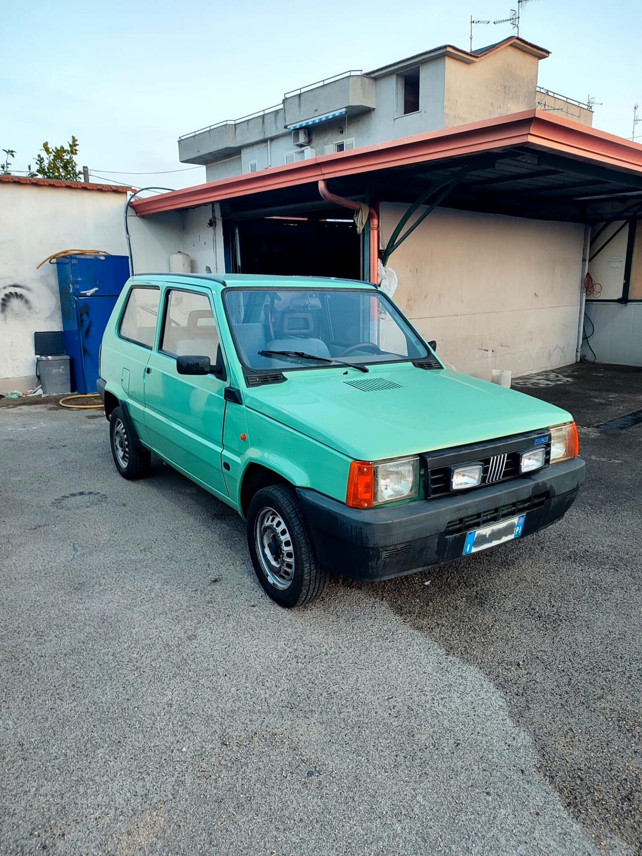 Fiat Panda 1100 i.e. cat College