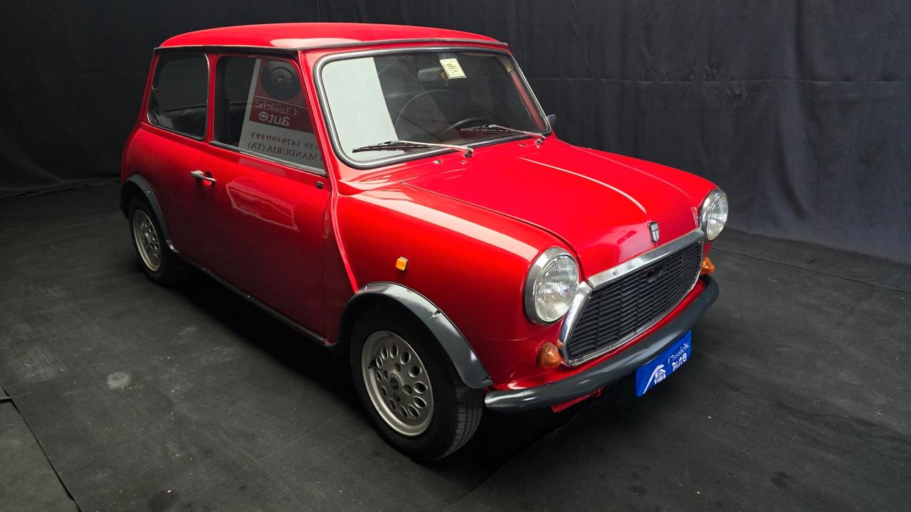 Mini 1000 HLE 1.0cc