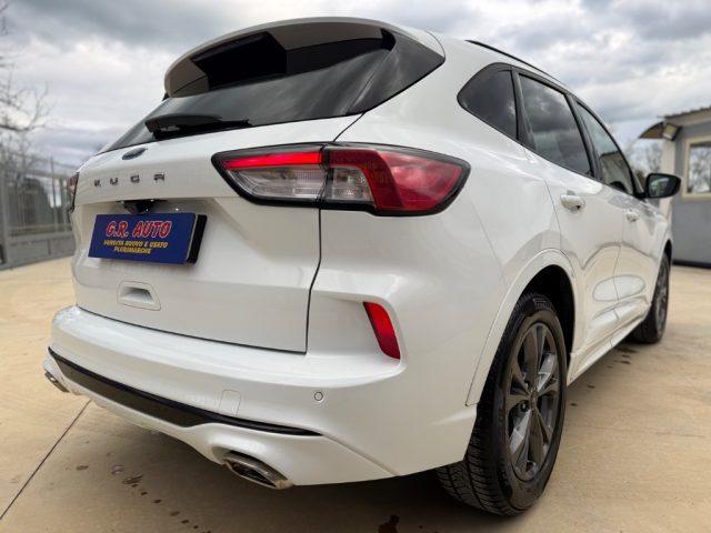 FORD Kuga 1.5 EcoBlue Automatica ST-Line GARANZIA