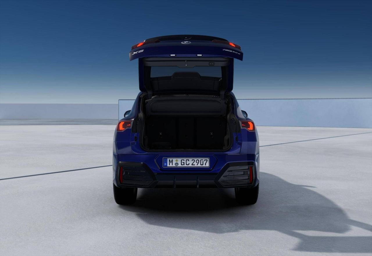 BMW X2 xDrive20d 48V MSport