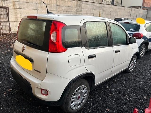 Fiat Panda 2024 1.0 FireFly S&S Hybrid incidentata sinistrata