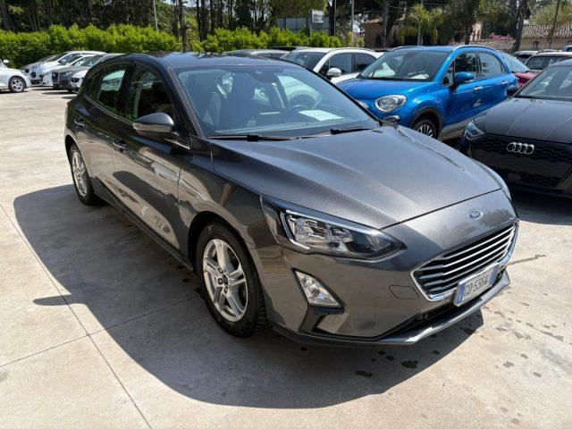 FORD Focus 1.5 EcoBlue 120 CV 5p. Business