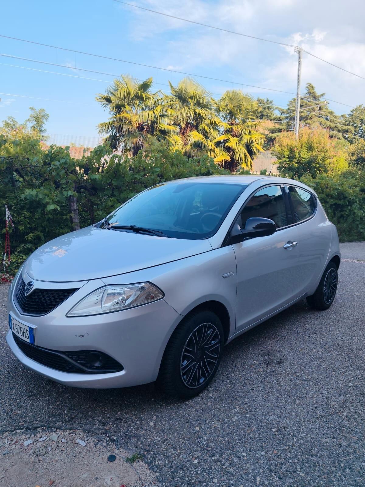 Lancia Ypsilon 1.2 69 CV 5 porte S&S Platinum