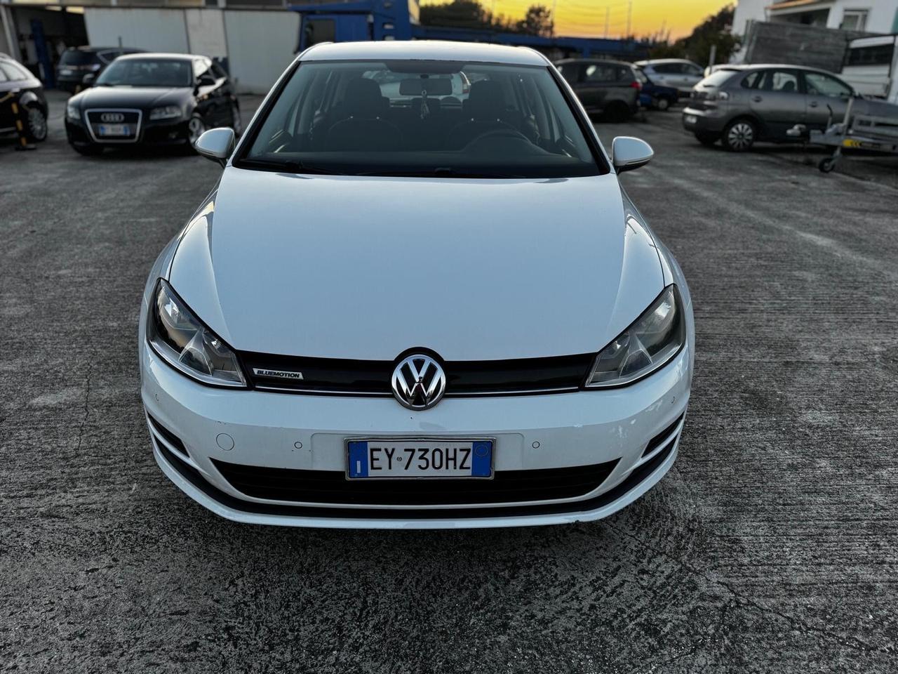 Volkswagen Golf Business 1.4 TGI 5p. Comfortline BlueMotion