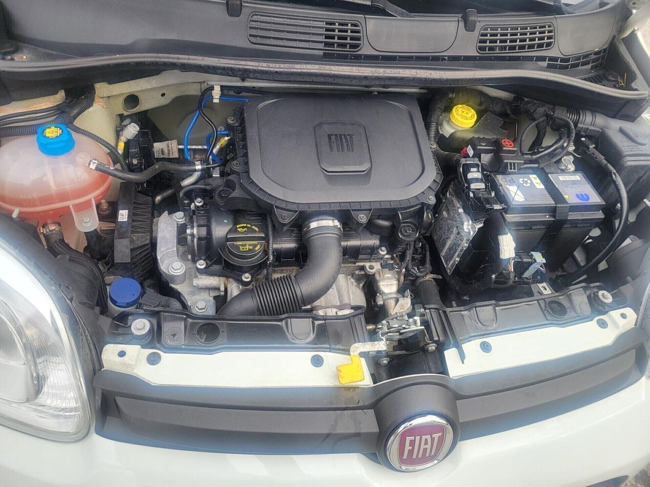 FIAT PANDA 1,0 BENZINA/HIBRYD-UNICA PRO-FOTO REVIS