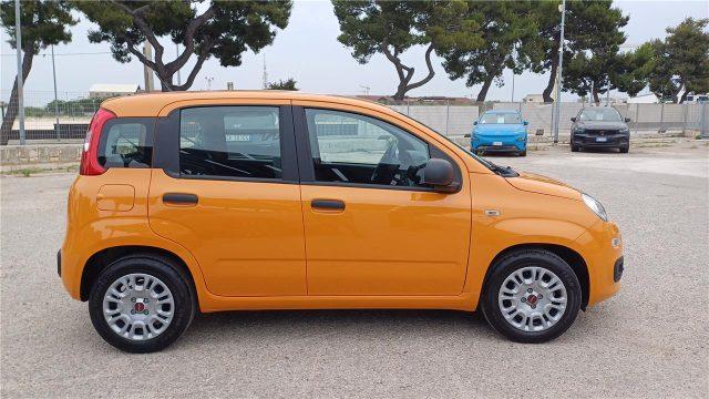 FIAT Panda 3ª serie 1.0 FireFly S&S Hybrid