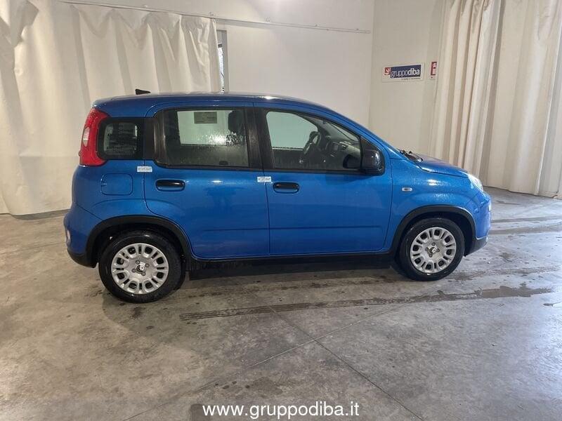 FIAT Panda Serie 7 1.0 70cv HybridPanda