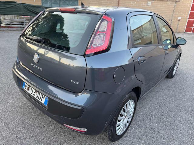 FIAT Punto Evo 1.3 Mjt 75 CV DPF 5p S&S Dynamic Bellissima