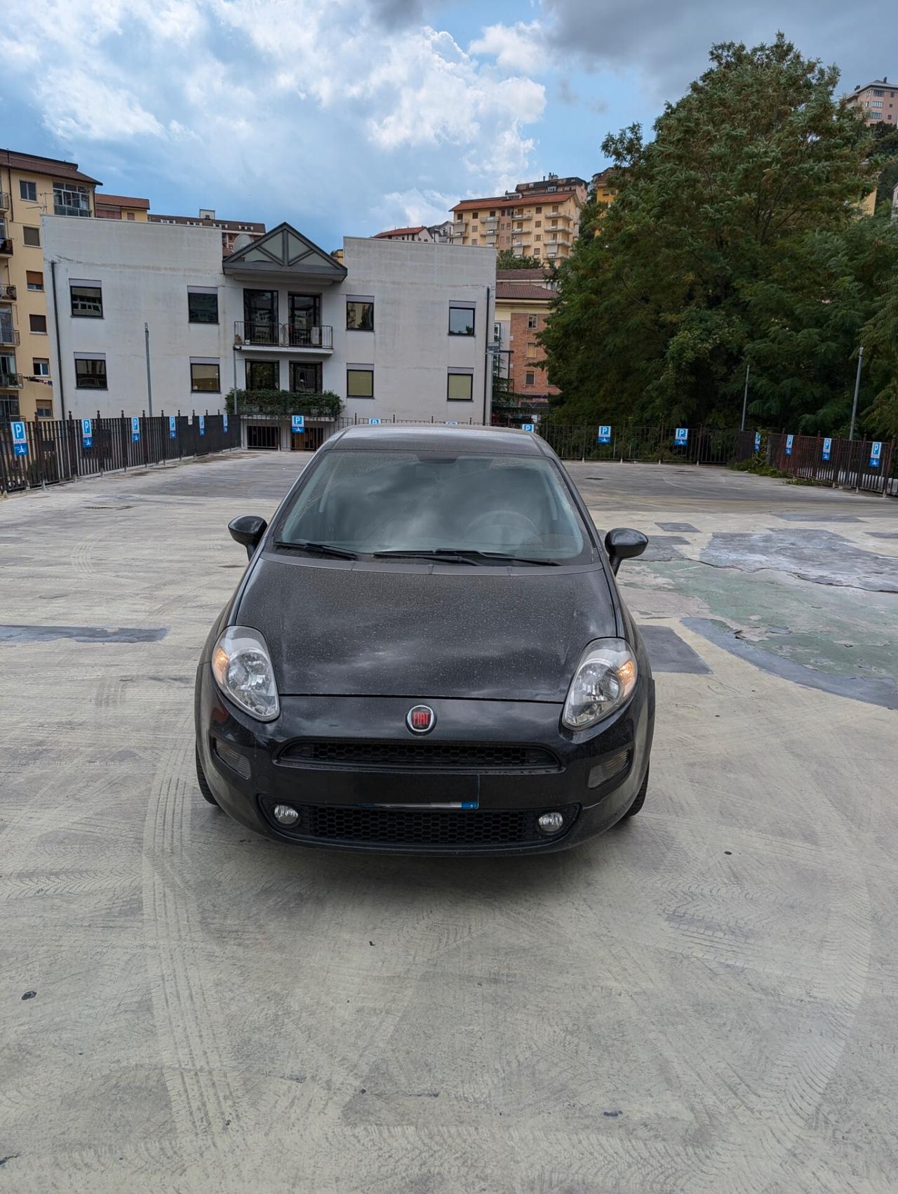 Fiat Punto 1.3 MJT II 75 CV 5 porte Street