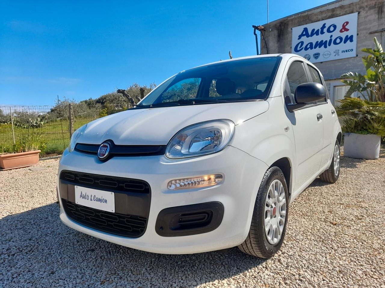 Fiat Panda 1.0FIREFLY S&S ANNO 2021 BENZINA