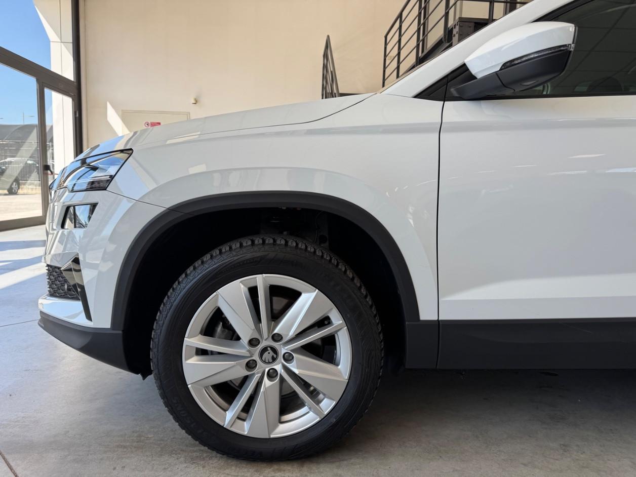 Skoda Karoq 2.0 TDI Executive 150CV DSG