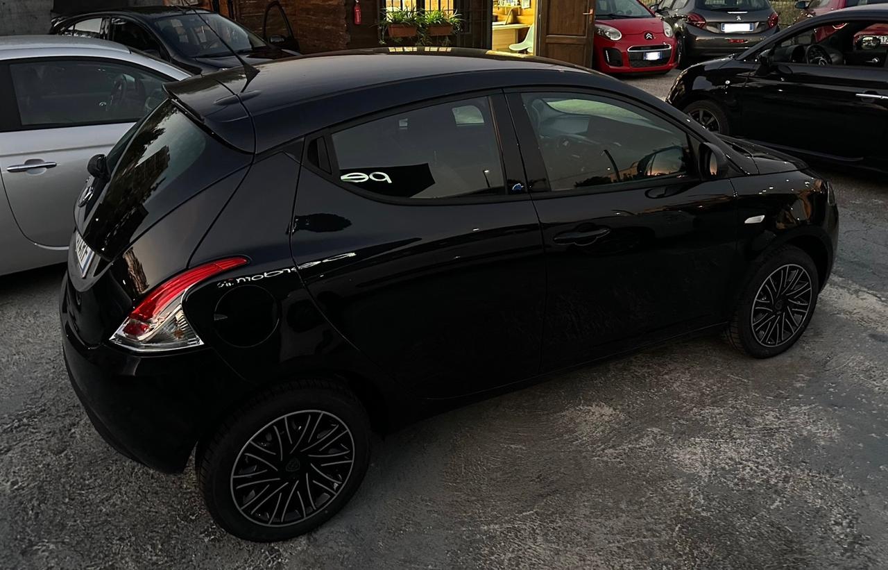 Lancia Ypsilon 1.2 69 CV 5 porte GPL Ecochic Platinum km 89.000