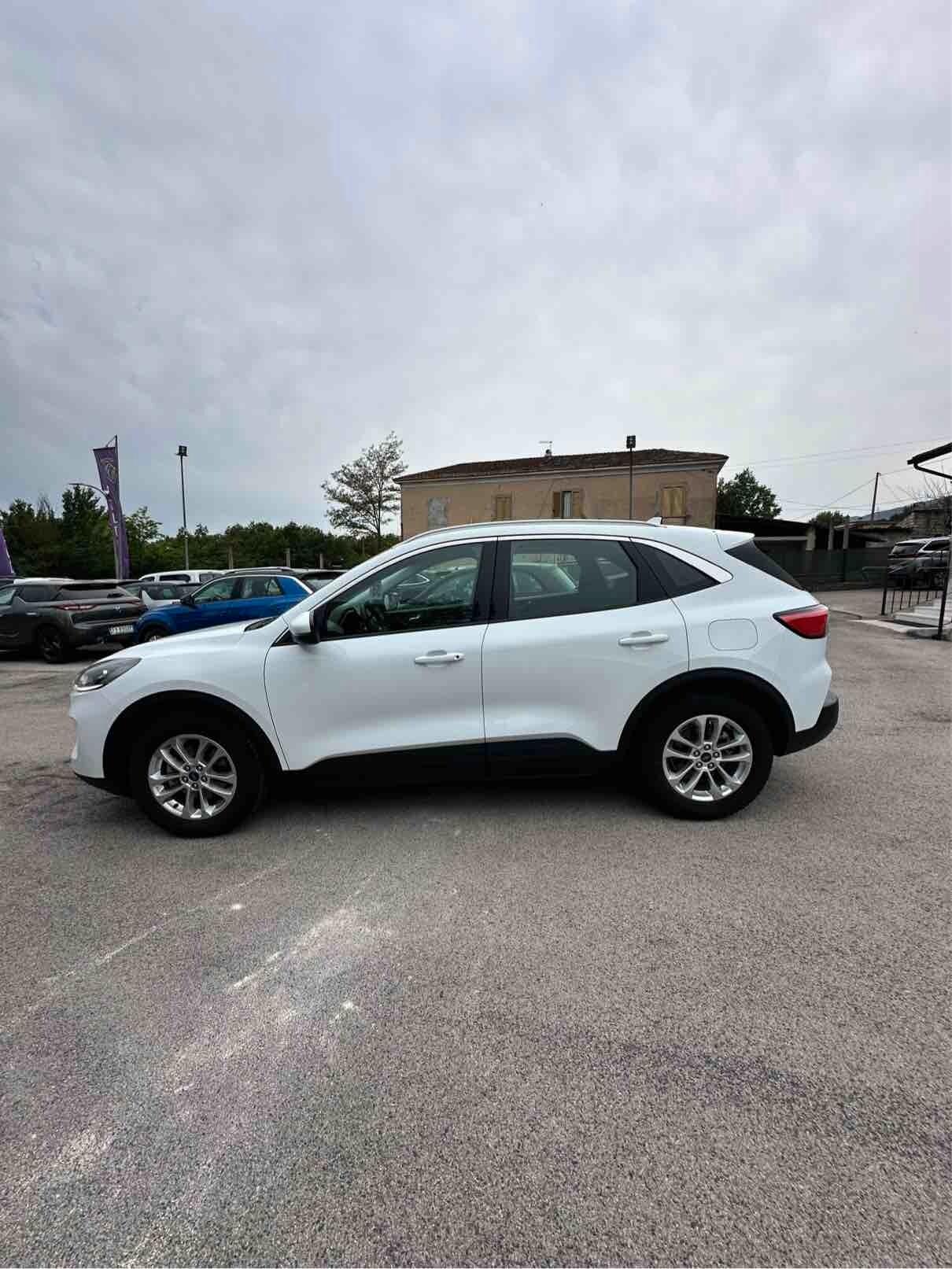 Ford Kuga 1.5 EcoBlue 120 CV aut. 2WD Titanium Business