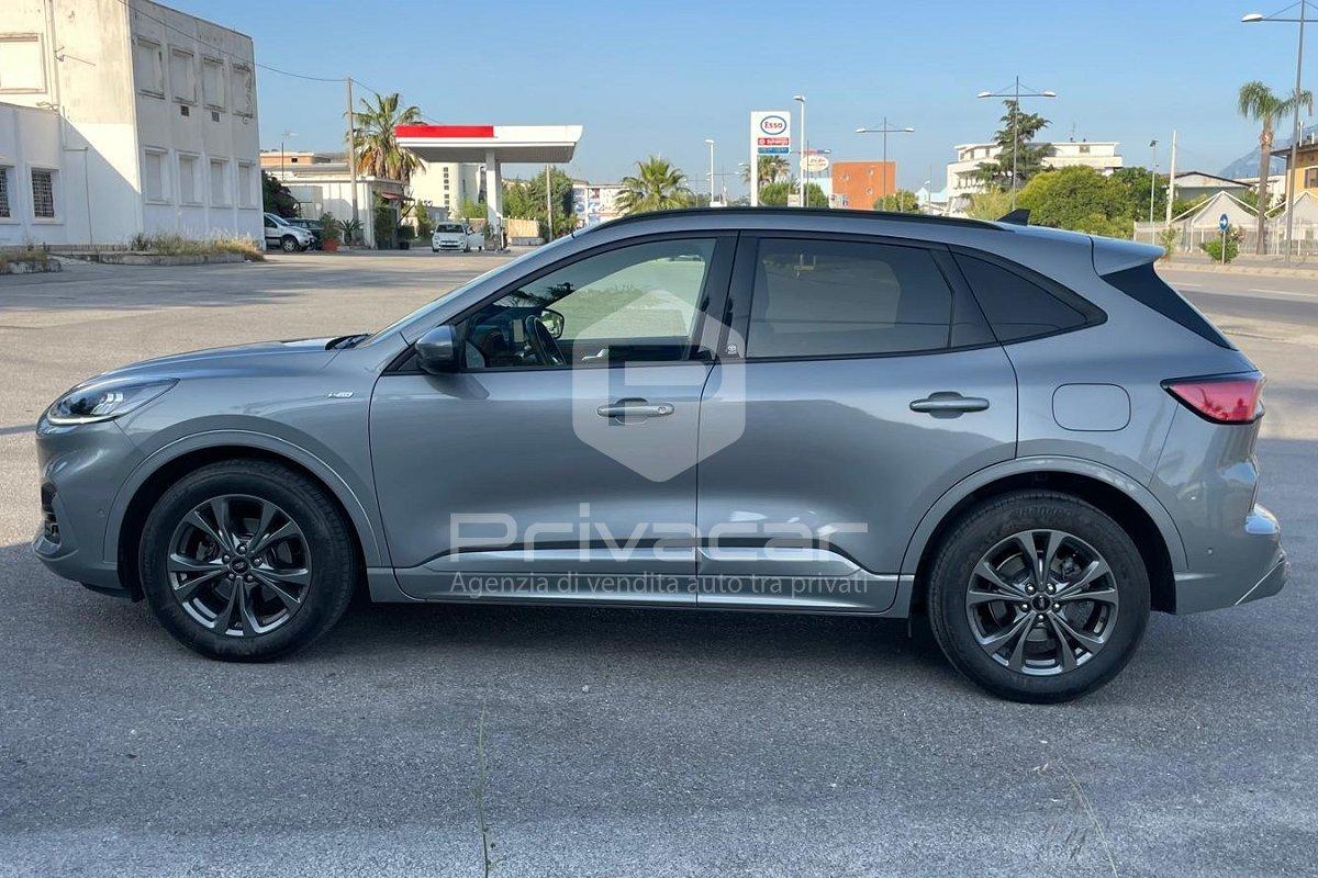 FORD Kuga 2.0 EcoBlue Hybrid 150 CV 2WD ST-Line