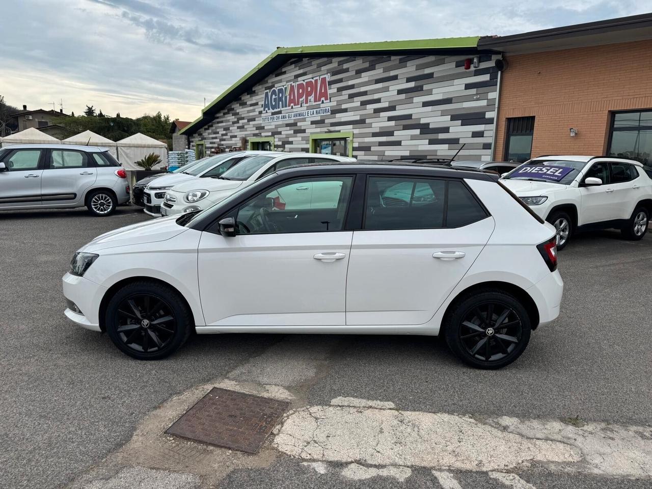 Skoda Fabia 1.0 MPI BENZ 75CV 5P AMBIENT 2018