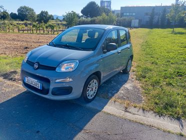Fiat Panda 1.2 Trussardi