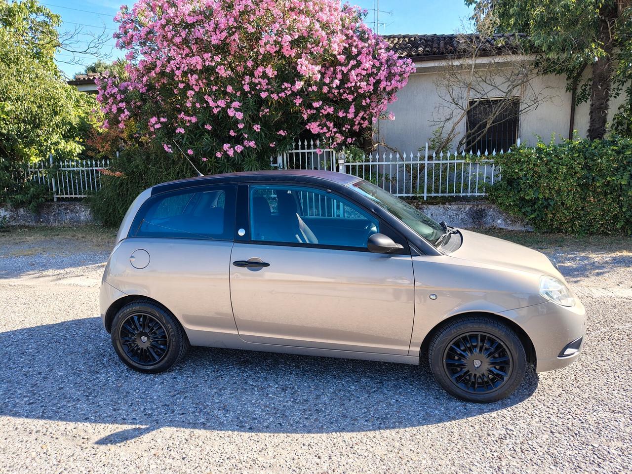 Lancia Ypsilon 1.4 Platino Ecochic GPL MODAMILANO