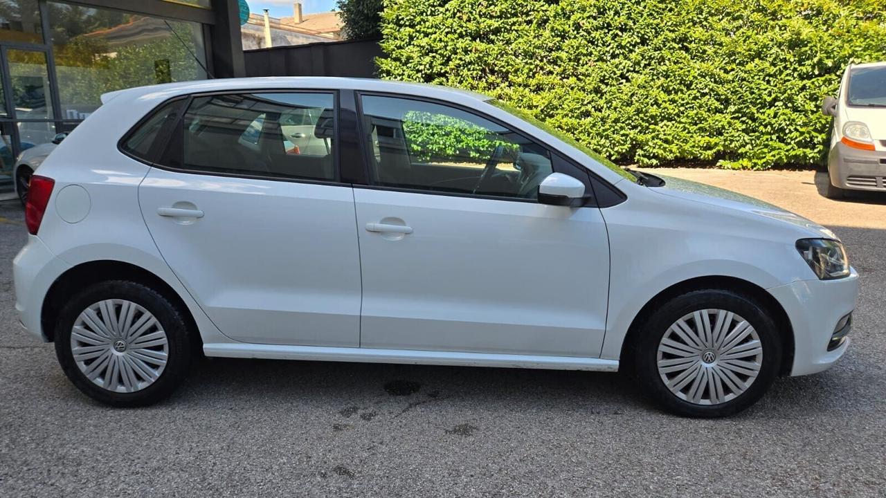 Volkswagen Polo 1.4 TDI 90 CV 5p. Business BlueMot