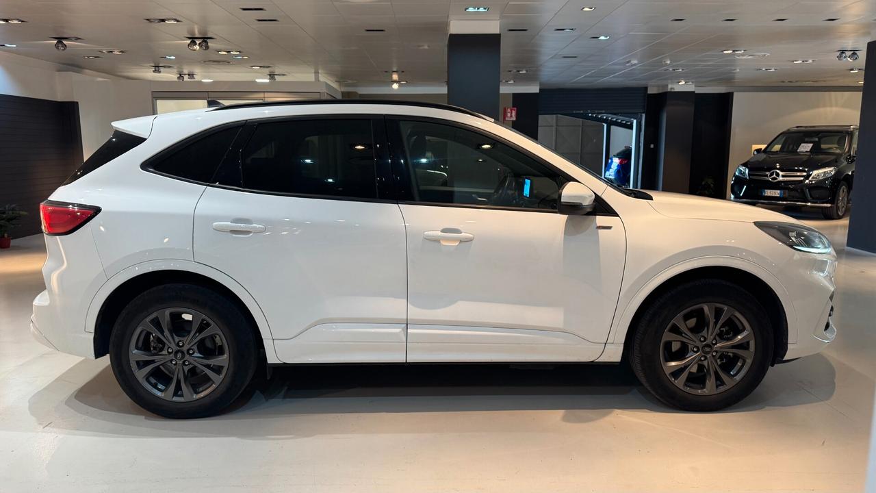 FORD KUGA 2.0 120CV ST-LINE AUTOMATICA 120CV - 2023