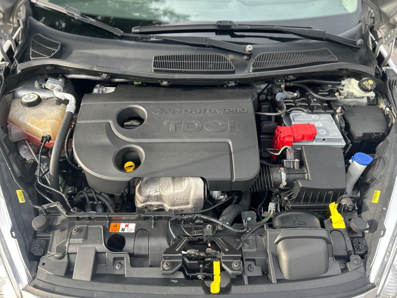 Ford Fiesta 1.5 TDCi 75CV Titanium