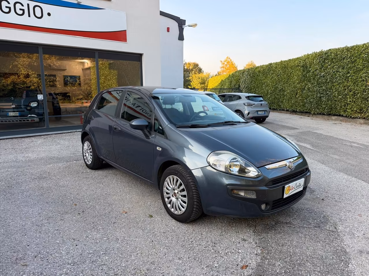 Fiat Punto Evo 1.4 16V 5 porte NEOP. Dynamic