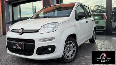 FIAT Panda RATA MENSILE 123,00 UNIPROPRIETARIO Panda 1.2 Easy