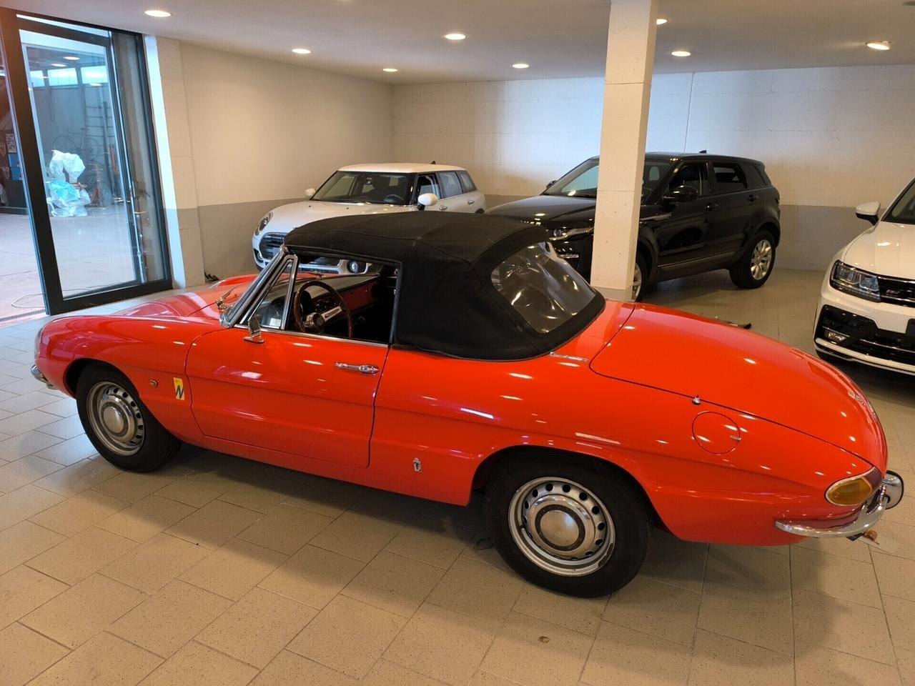 Alfa Romeo Spider