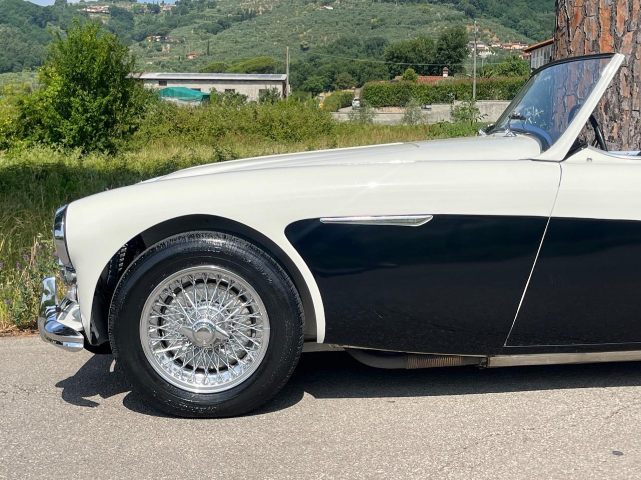 Austin Healey 100/6 BN4 2700 ASI