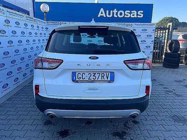 Ford Kuga 1.5 EcoBlue 120 CV 2WD Titanium Business