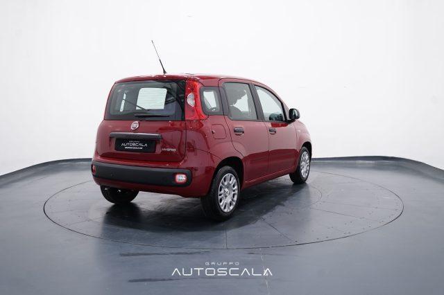 FIAT New Panda My25 1.0 FireFly S&S Hybrid