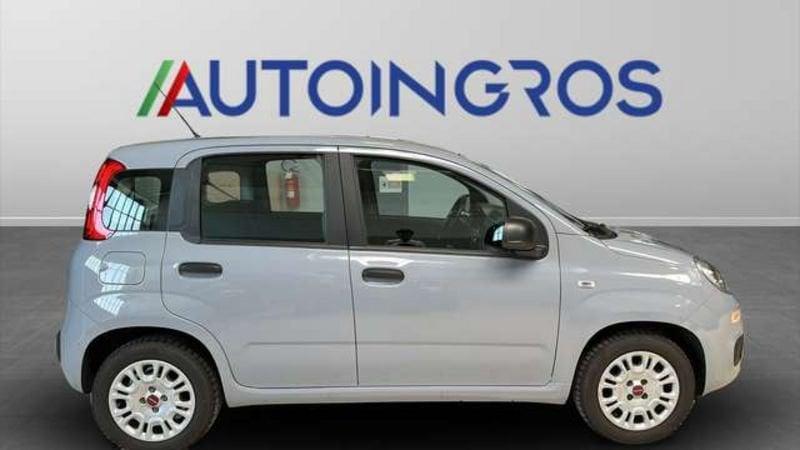 FIAT Panda 1.2 easypower Gpl s&s 69CV MT5 USATO GARANTITO