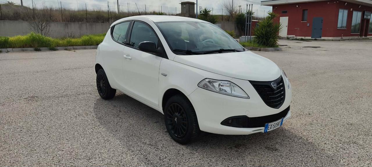 Lancia Ypsilon 0.9 TwinAir 85 CV 5 porte Metano Ecochic Elefantino