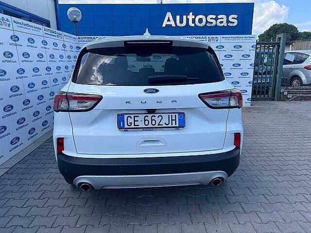 FORD Kuga 1.5 EcoBlue 120 CV 2WD Titanium Business del 2021