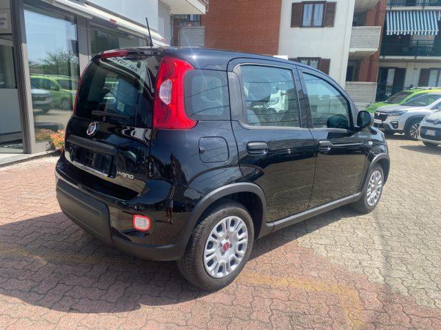 FIAT Panda 1.0 Mild- Hybrid PERFETTE CONDIZIONI D'USO
