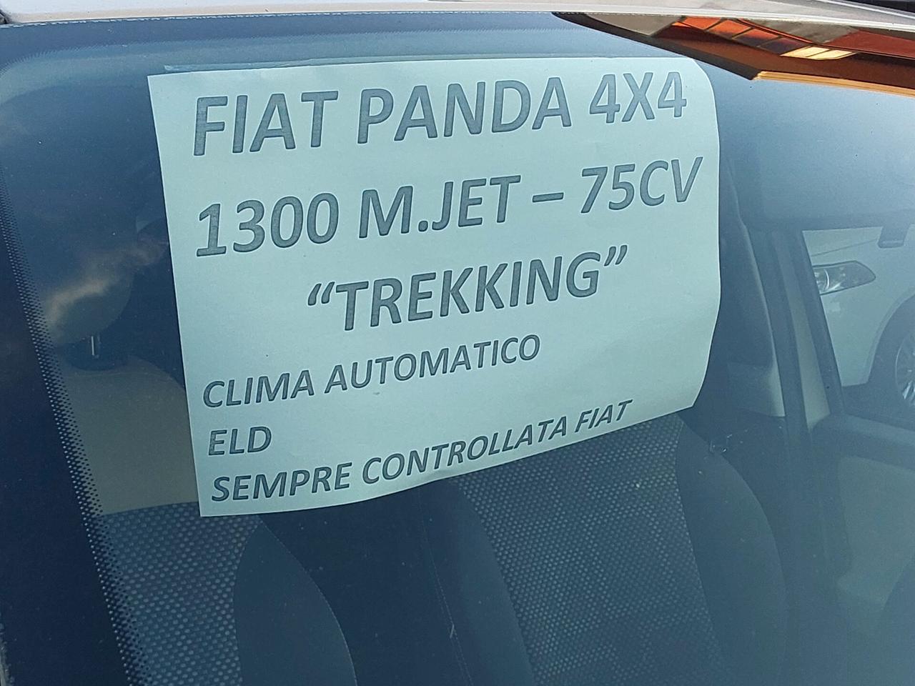 Fiat Panda 1.3 MJT 75 CV 4x4 Trekking con (ELD)