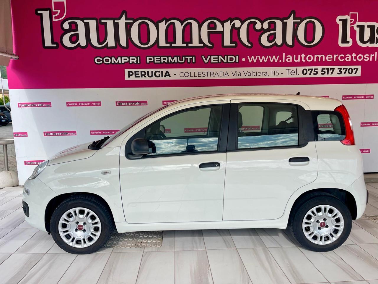 FIAT Panda 3ª serie Panda 1.2 Easy