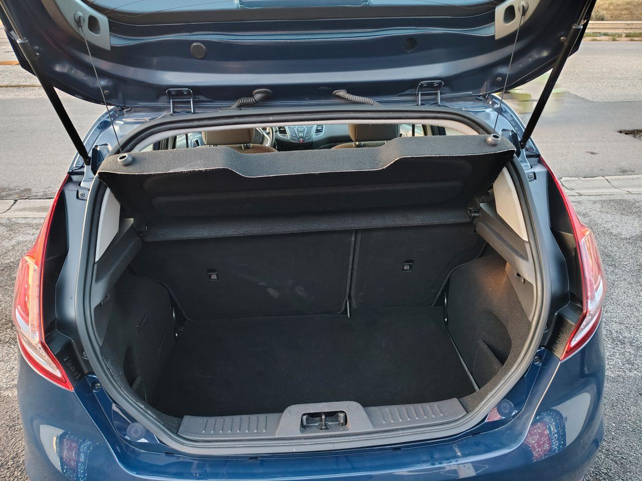 Ford Fiesta 1.4 5 porte Bz.- GPL Black & White Edition