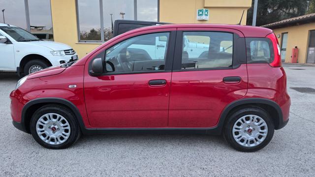 FIAT Panda 1.0 HYBRID S&S 70 CV SENSORI PARK RADIO TOUCH BT