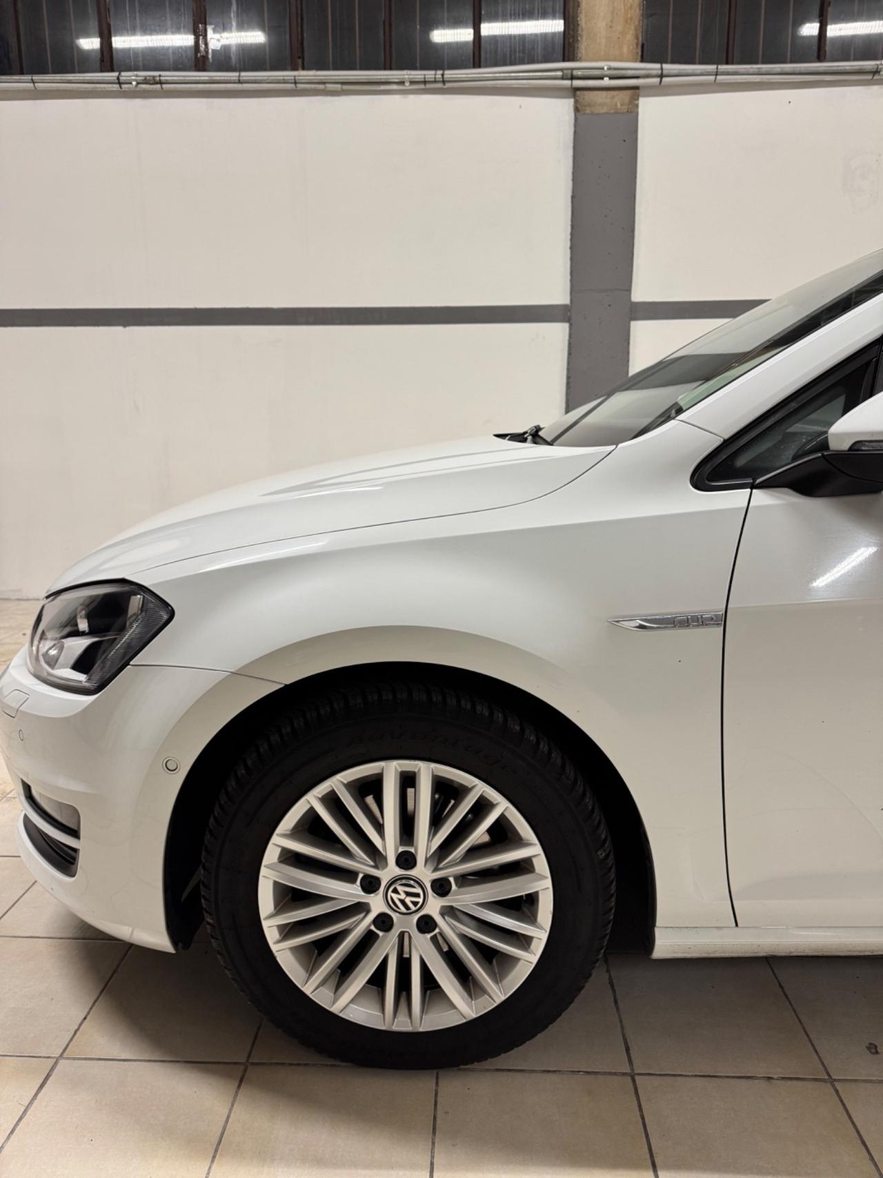 Volkswagen Golf 1.6 TDI 110 CV 5p. Highline BlueMotion Technology