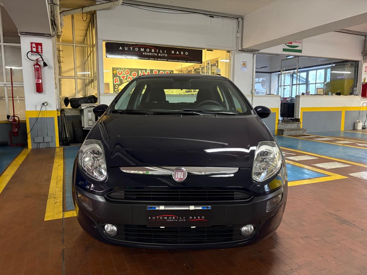 Fiat Punto Evo Punto Evo 1.2 5 porte Dynamic NEOPATENTATI...!!!!