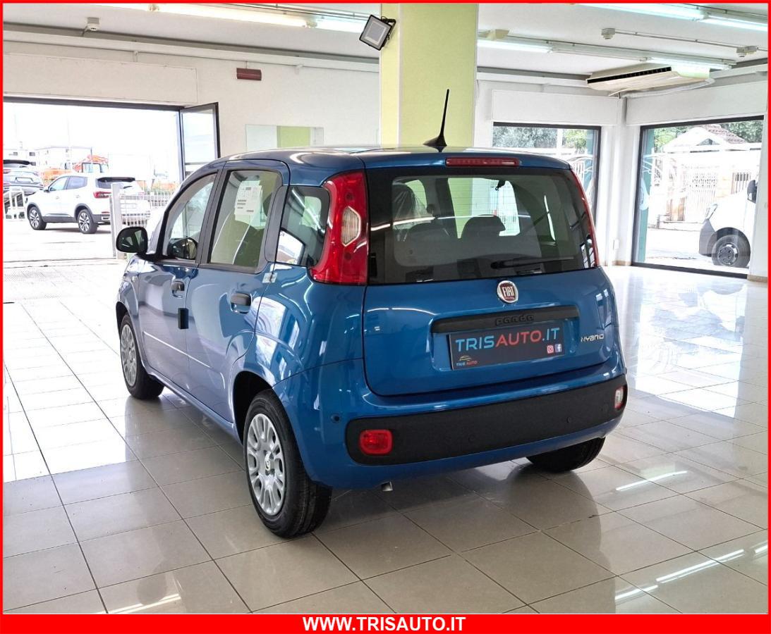 FIAT Panda 1.0 FireFly S&S Hybrid 5p.ti NEOPATENTATI