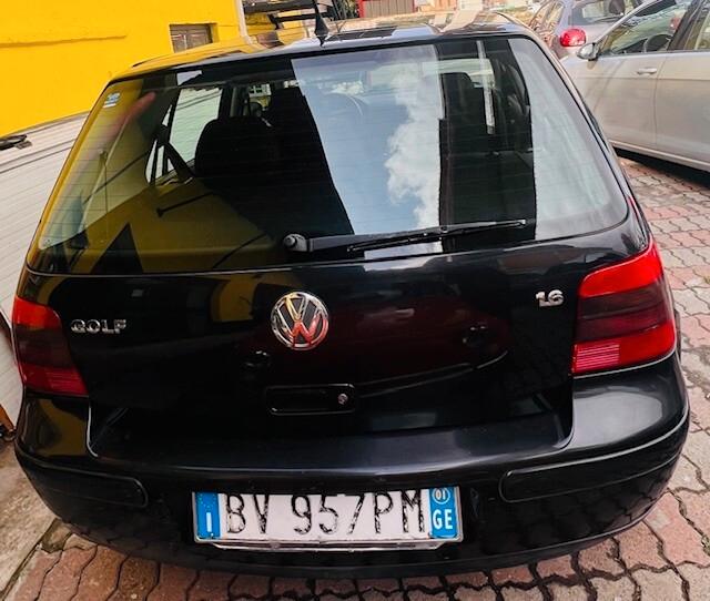Volkswagen Golf 1.6 16V cat 5 porte Highline