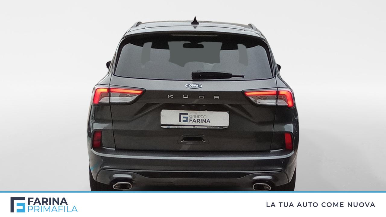 FORD Kuga III 2020 - Kuga 1.5 ecoblue ST-Line 2wd 120cv