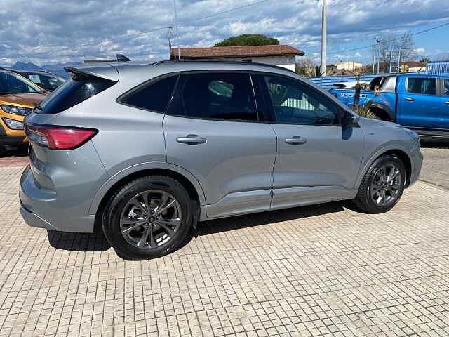 Ford Kuga 1.5 EcoBlue 120 CV 2WD ST-Line