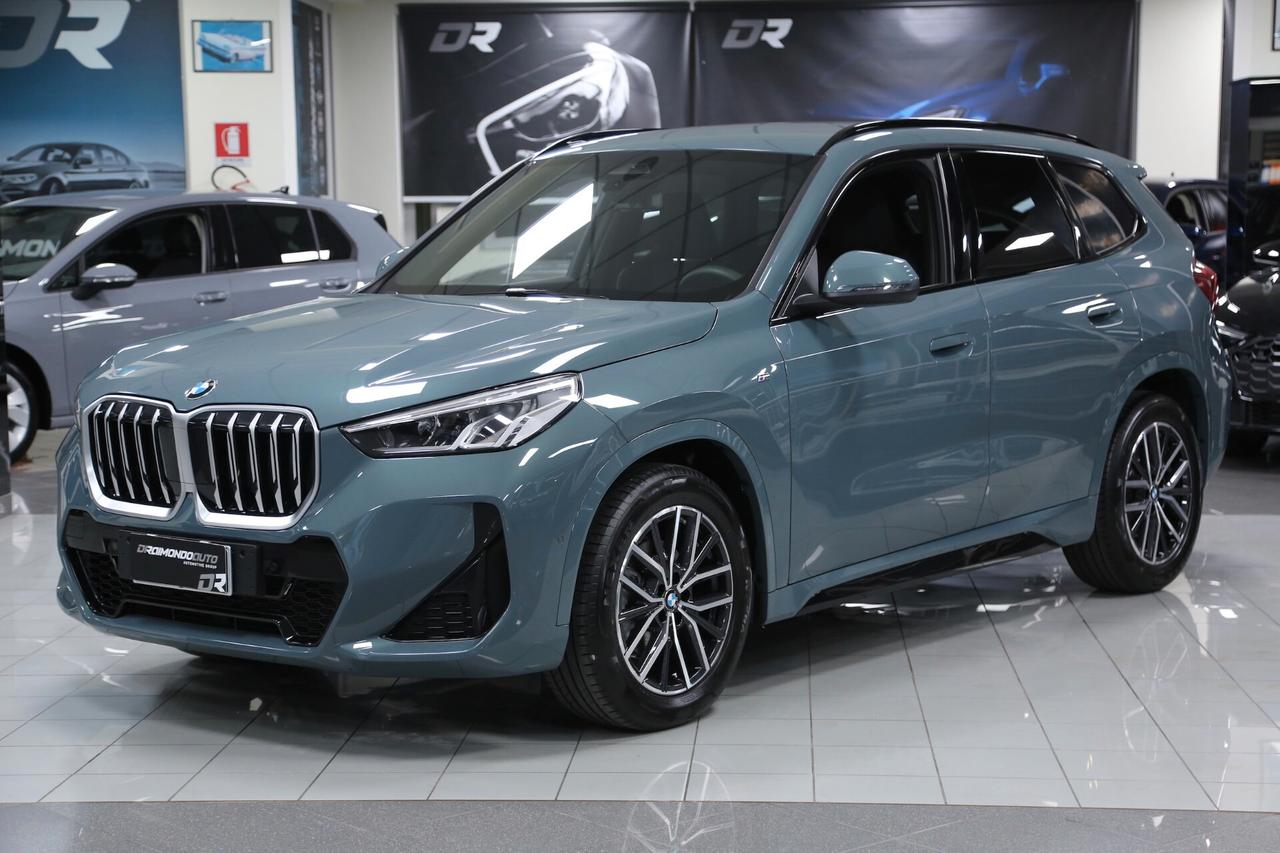 BMW X1 xDrive20d mhev Msport auto