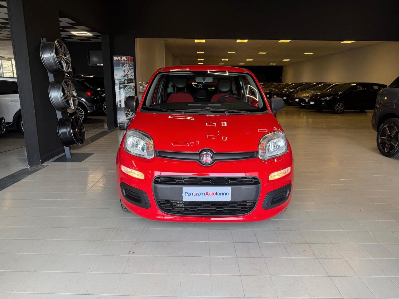FIAT Panda 3ª serie Panda 1.2 Easy