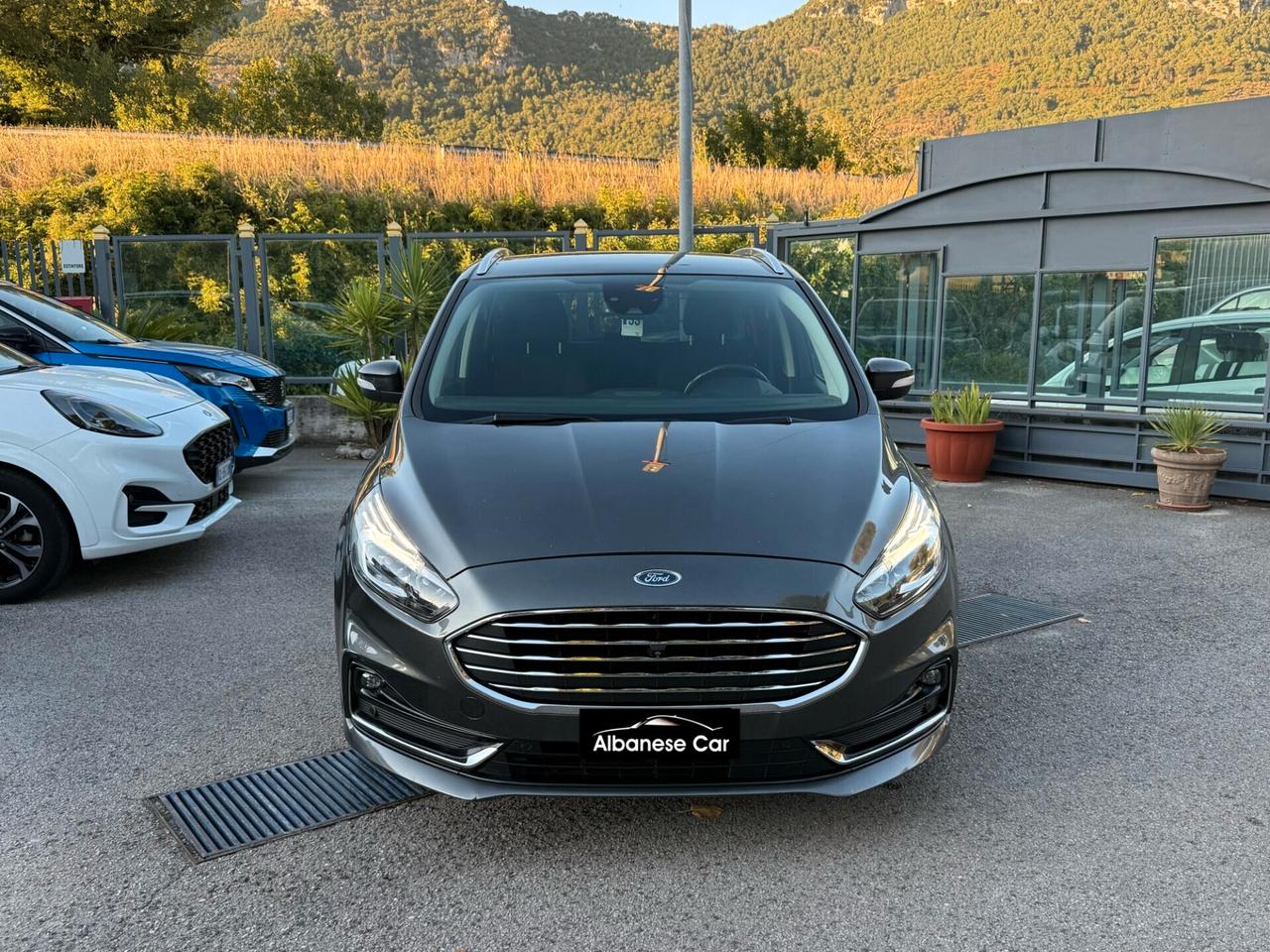 Ford S-Max 2.0 EcoBlue 150CV Start&Stop Aut.7p. Titanium Business