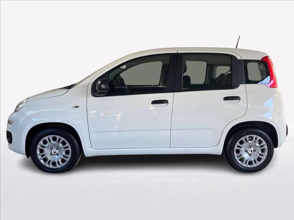 FIAT Pandina 1.0 firefly hybrid s&s 70cv 5p.ti del 2025