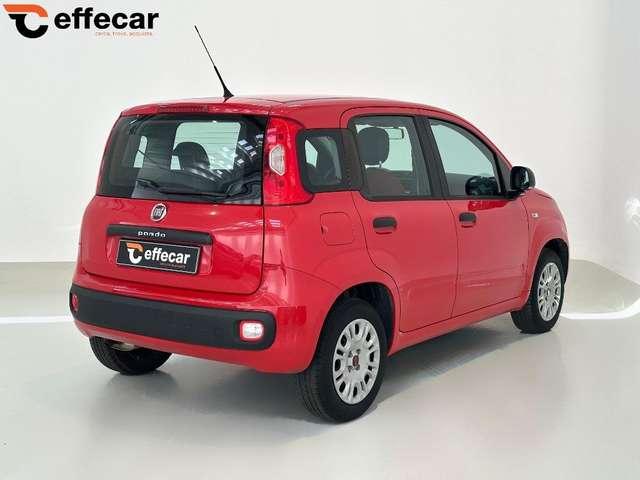 Fiat Panda 1.2 Easy Neopatentati